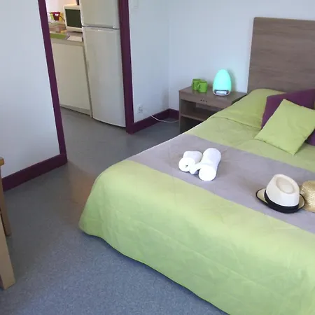 Tatil parkı Vvf Cantal Salers Vendes