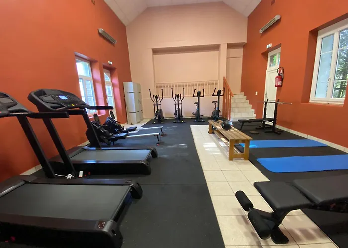 Vvf Cantal Salers Vendes 3*