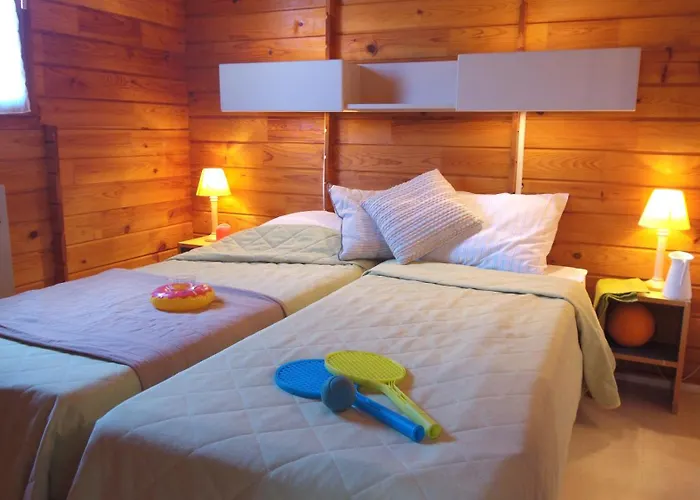 Vvf Cantal Salers Vendes База отдыха Bassignac